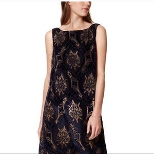 NWT navy and gold velvet loft dress